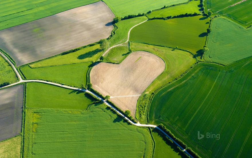 Aerial view of a heart-shaped field in Trittau, Germany