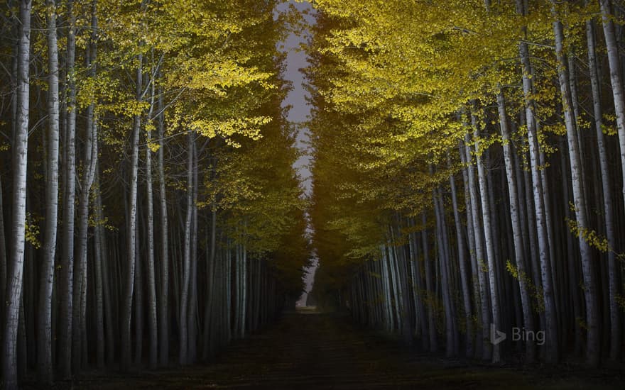 Boardman Tree Farm in Boardman, Oregon