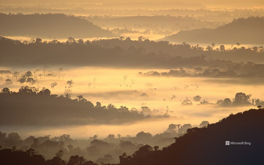 Amazon rainforest, Brazil