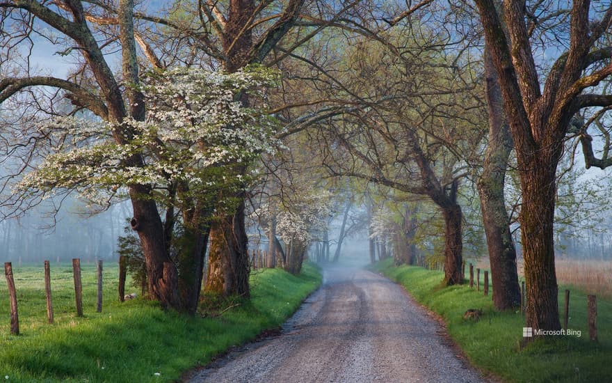 Sparks Lane in Cades Cove, Great Smoky Mountains National Park, Tennessee