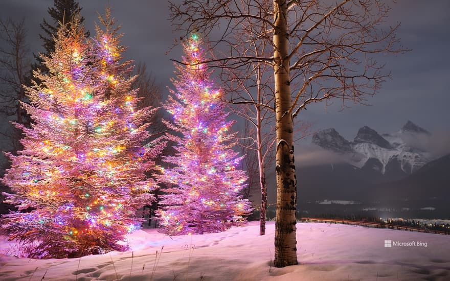 Christmas trees with the Three Sisters mountain in the background, Canmore, Alberta