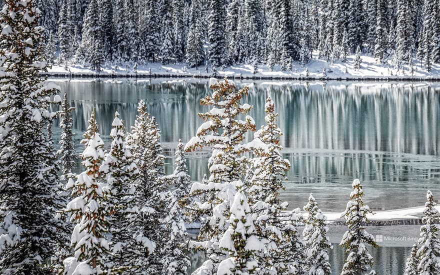 A frozen lake in Banff National Park