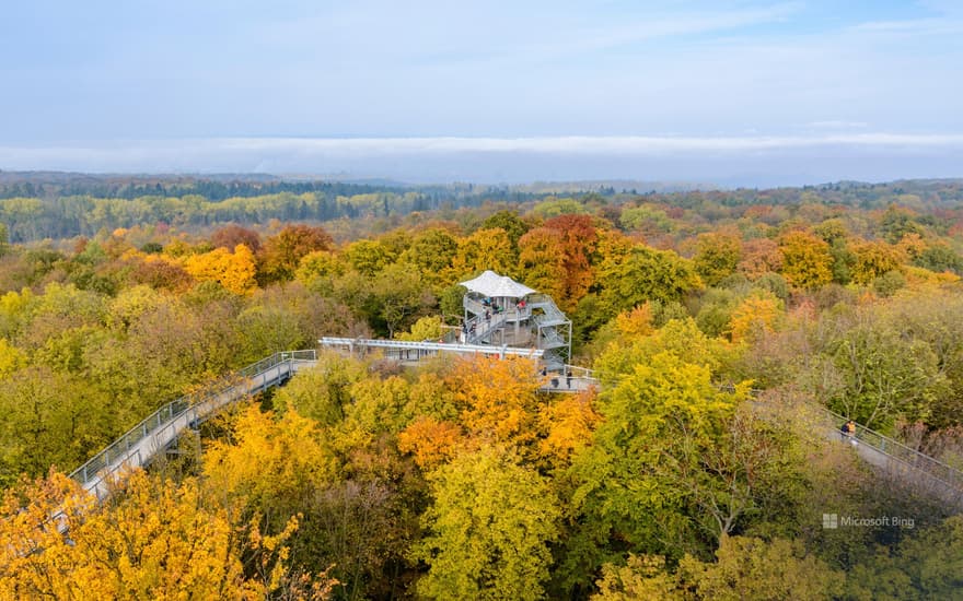 Hainich National Park, Thuringia, Germany