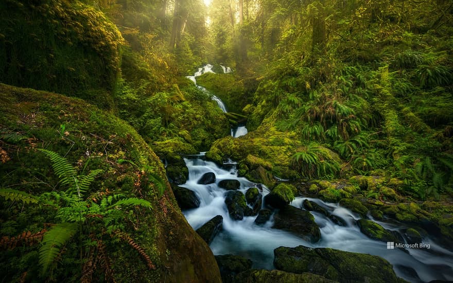 A waterfall in Olympic National Park, Washington, United States