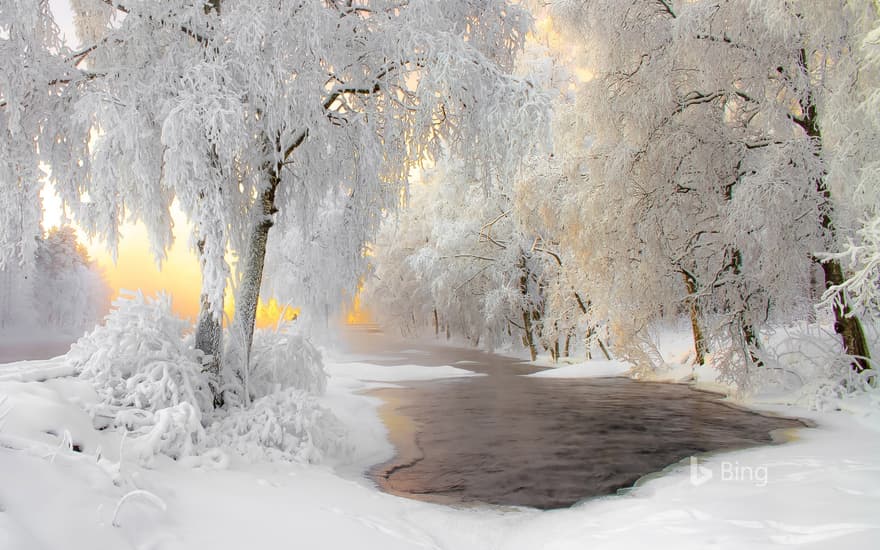 Winter scenery near Kuhmo, Finland