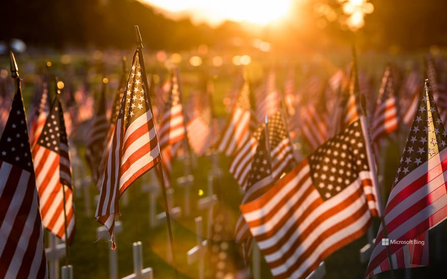 Field of flags set up for Memorial Day