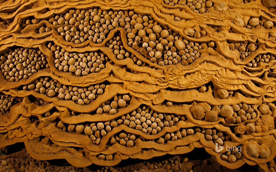 Rare cave pearls in Son Doong Cave at Phong Nha-Kẻ Bàng National Park, Vietnam