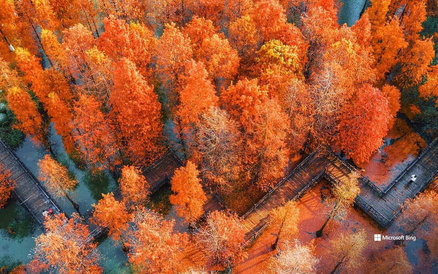 Aerial view of Cuizhu Park in Changzhou, Jiangsu Province, China